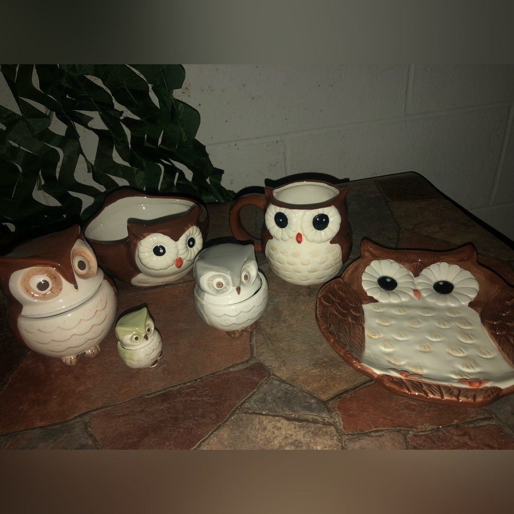 Owl Ceramic Dish Set🔥